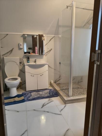 Casă cu 4 camere în Sânandrei