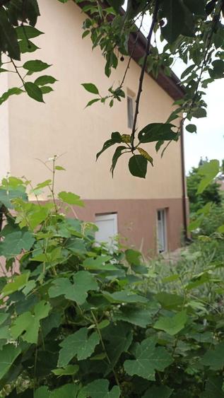 Casă cu 3 camere în Central