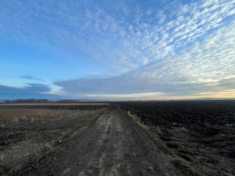 Teren agricol extravilan de 8200 mp, în Periferie