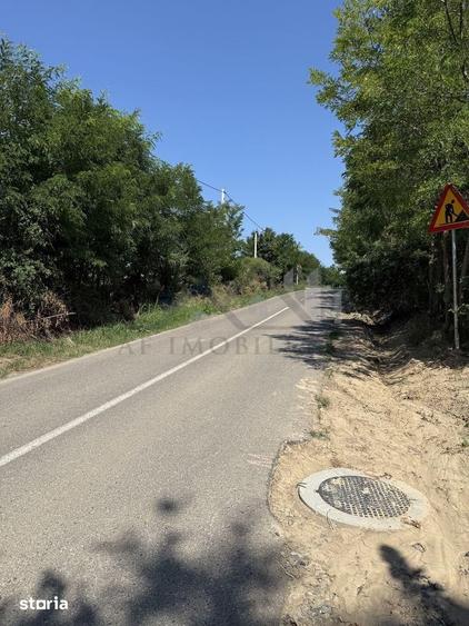 Teren de 14400 mp, în Aroneanu