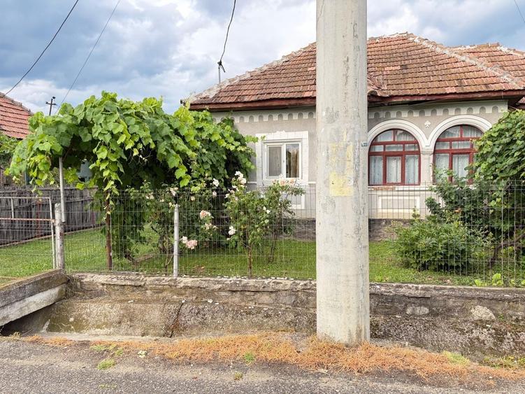 Casă cu 3 camere în Berislăvești