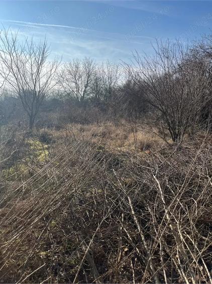 Teren de 1200 mp, în Petrăchioaia