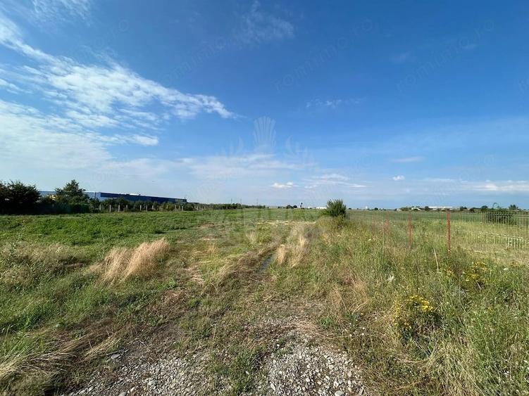 Teren de 3000 mp, în Albert