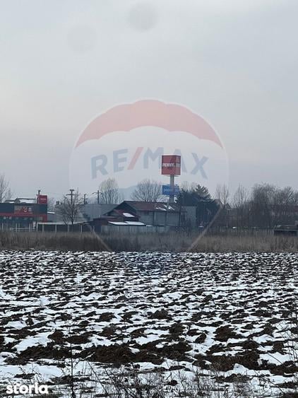 Teren de 6210 mp, în Ciolpani