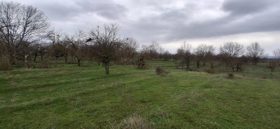 Teren de 3700 mp, în Central