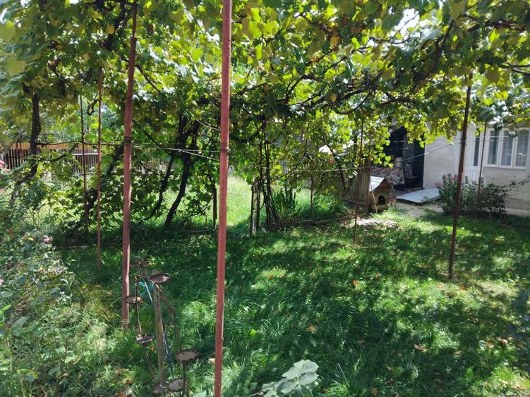 Teren de 550 mp, în Sărata