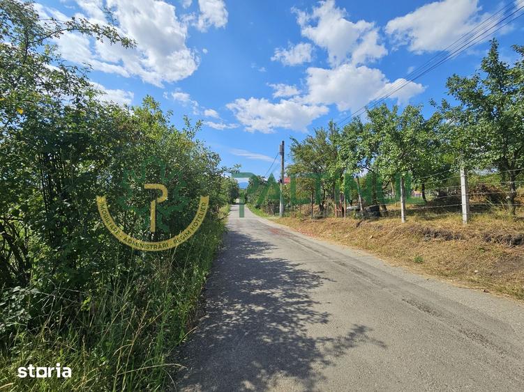 Teren de 2134 mp, în Câineni
