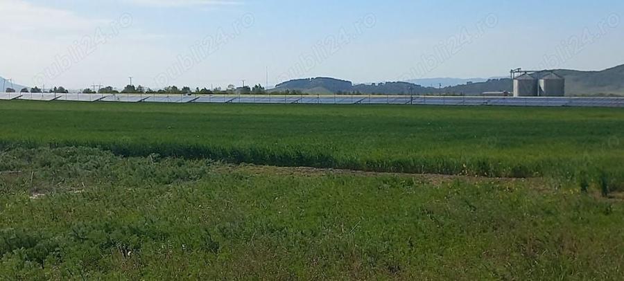 Teren agricol in Brasov - 1