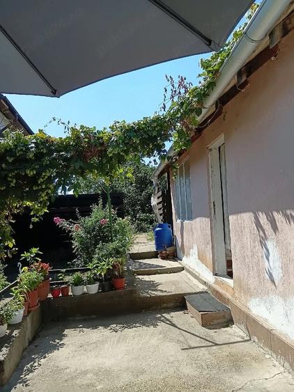Casă cu Teren 402 Mp în Central