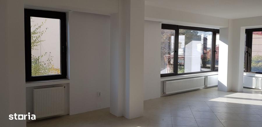 Spațiu comercial, de 56 mp, în Pache Protopopescu