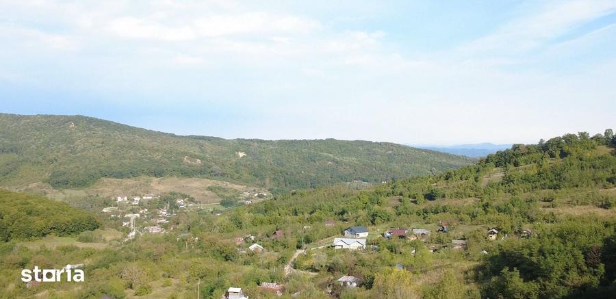 Teren de 151000 mp, în Șoimari
