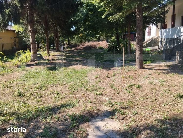 Casă cu 3 camere cu Teren 3600 Mp în Șotânga