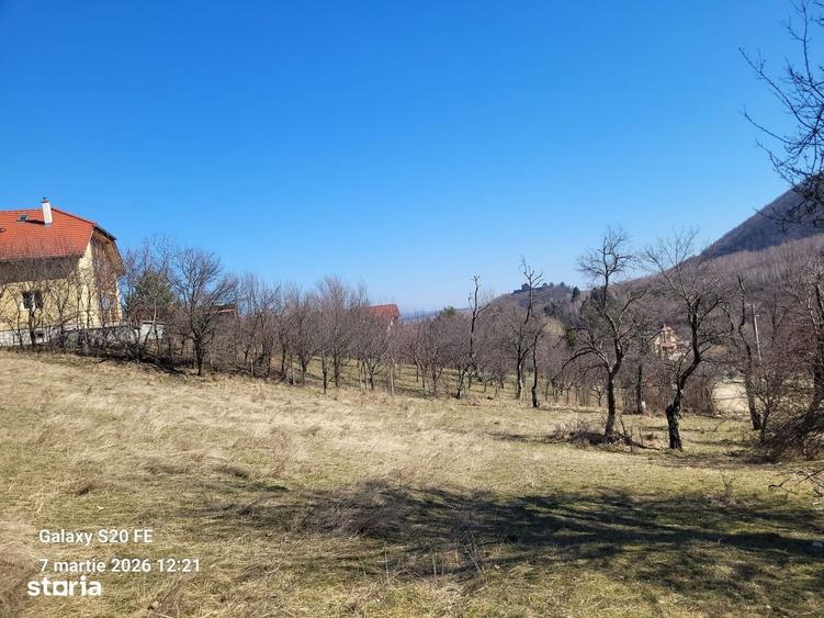 Spațiu comercial, în Prislop