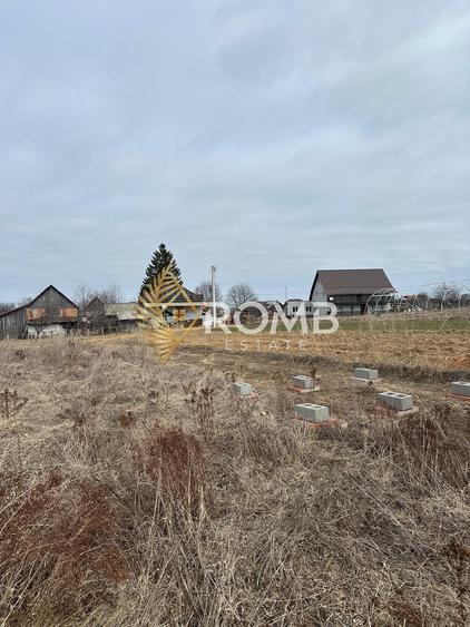 Teren agricol extravilan de 3932 mp, în Râșca
