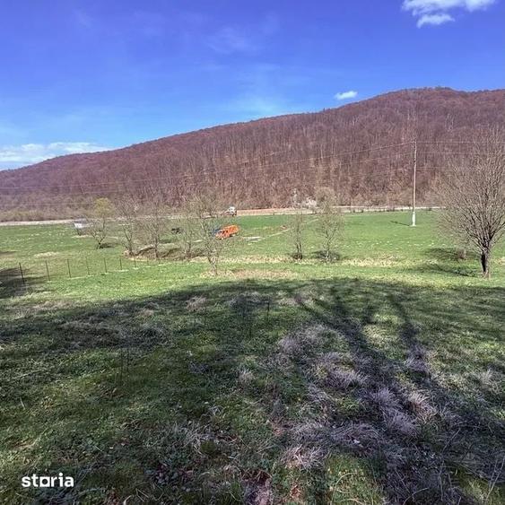 Teren de 7300 mp, în Tărlungeni