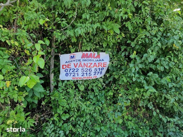 Teren de 4733 mp, în Răzvad