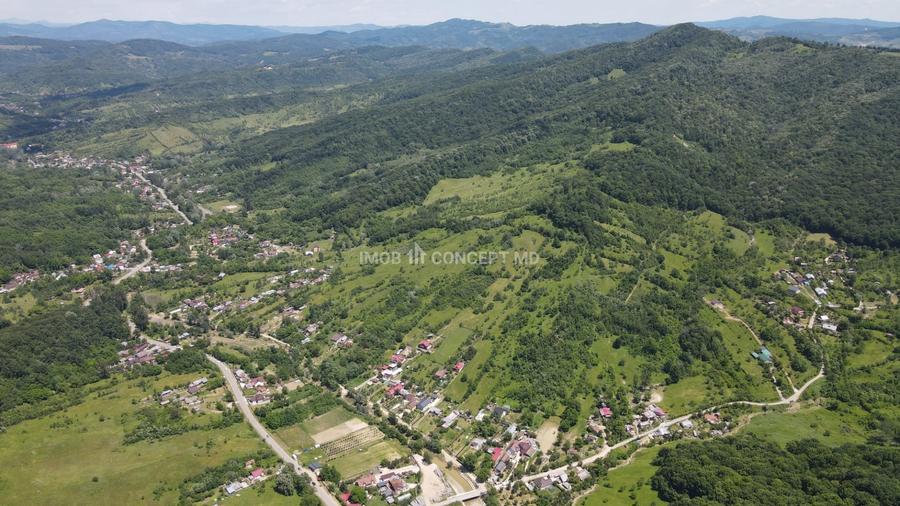Teren agricol extravilan de 16189 mp, în Șoimari