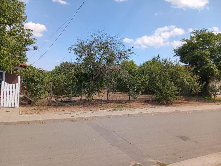 Casă cu 4 camere cu Teren 2041 Mp în Siminoc