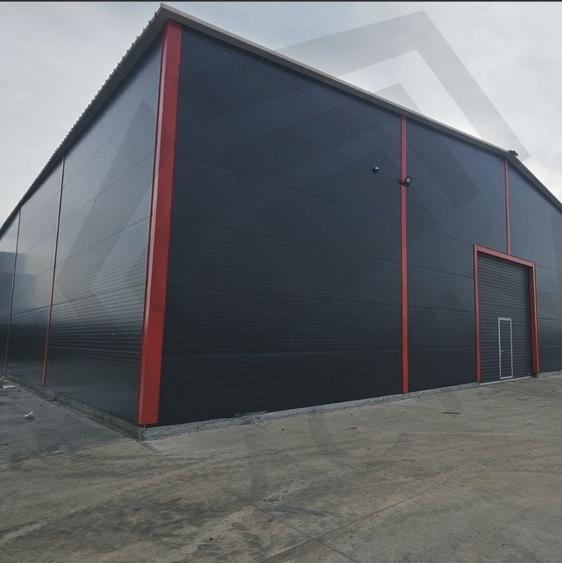 Hale de inchiriat, 595 mp, depozitare/logistica, Centura (DNCB), A2.  Ocazie! - 2