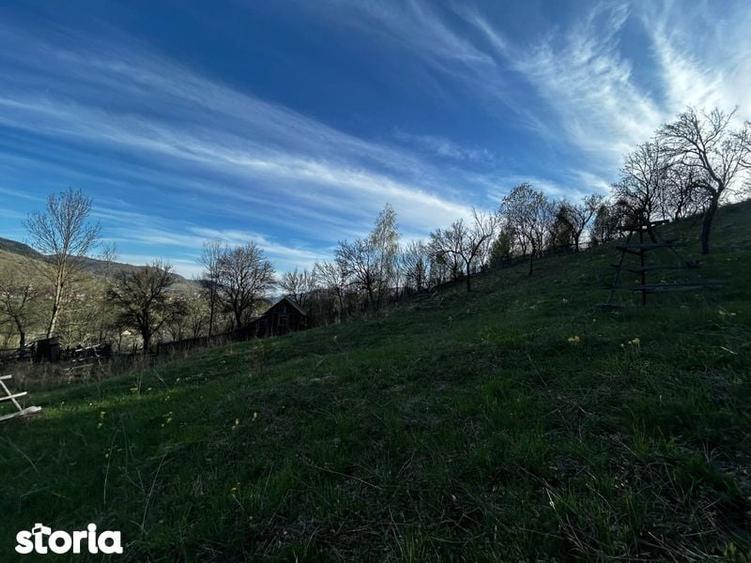Teren de 2500 mp, în Valea Doftanei