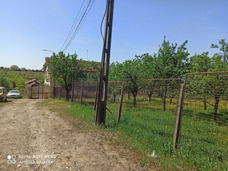 Teren de 800 mp, în Cârcea