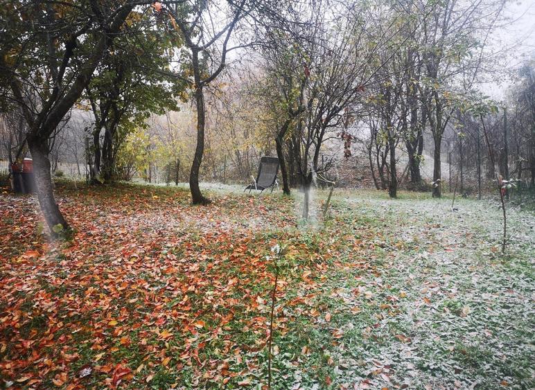 Casă cu 4 camere în Poiana