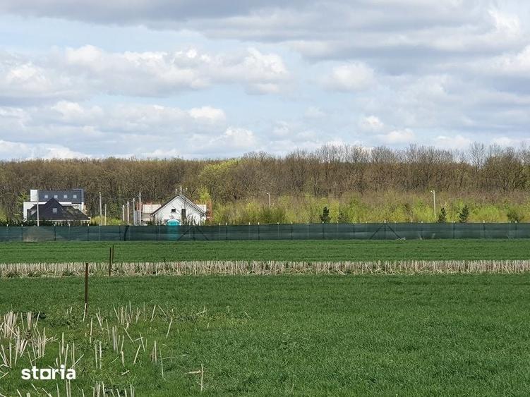 Teren Balotesti, vecinatate padure Sri,19500 euro - 3