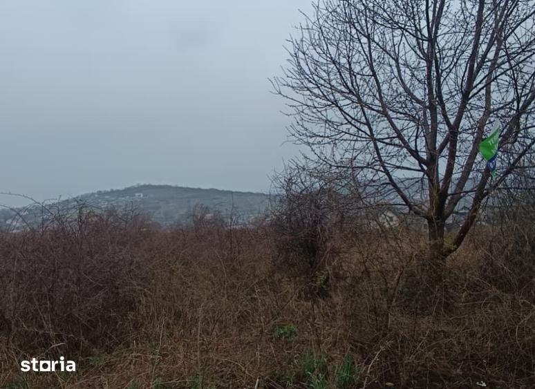 Teren de 11000 mp, în Tomești