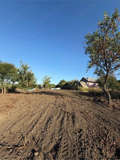 Casa batraneasca si teren in Comarna, iesirea din Chicerea asfalt curent 20 km de iasi - 5