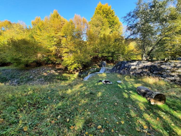 Teren agricol extravilan de 7160 mp, în Alexandru cel Bun