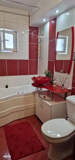 Apartament 2 camere Nicolina - Salciilor - 4
