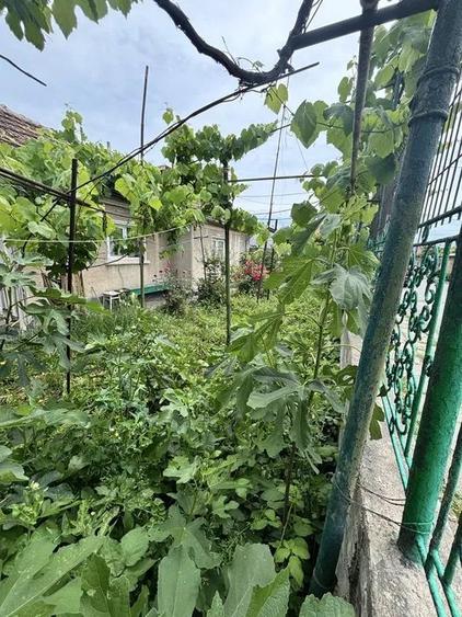 Casă individuală cu 3 camere cu Canalizare în Coiciu