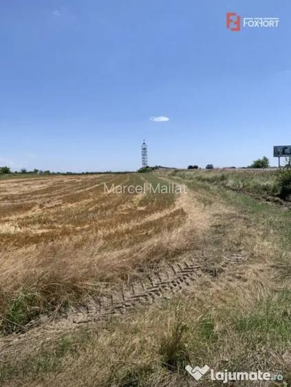 57 Hectare Teren centura cu front 485 ml pretabil parc logis - Timisoara (Timis)