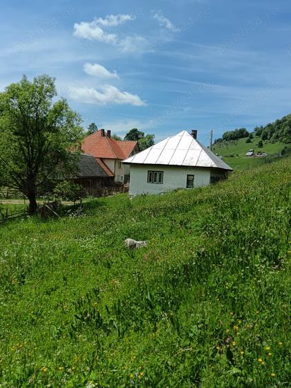 Teren de 3800 mp, în Fundata