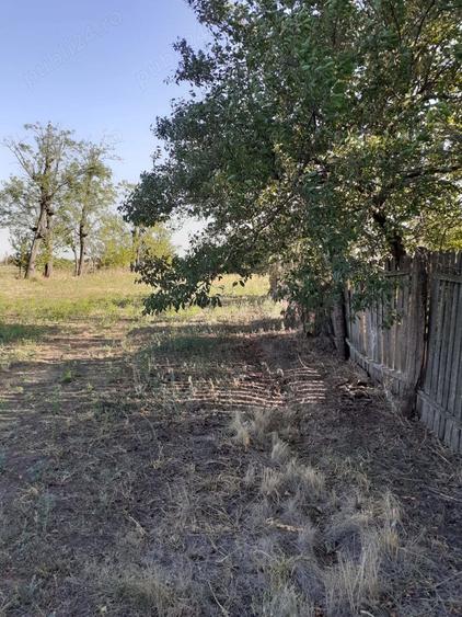 Teren de 2772 mp, în Găgeni