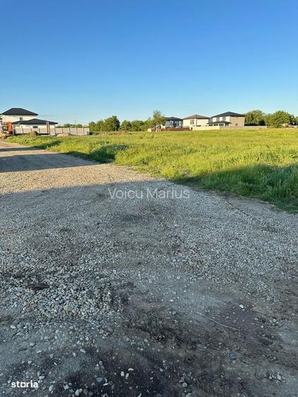 Teren de Vanzare, Comuna Berceni, Judetul Ilfov, Strada Serelor