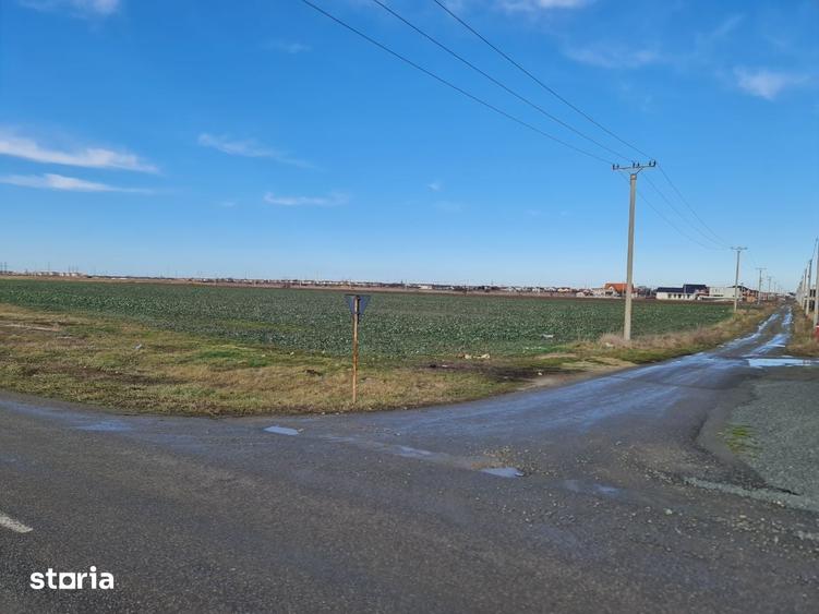 Teren de 790 mp, în Vladimirescu