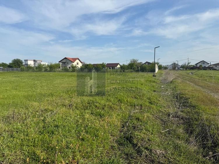 Teren agricol intravilan de 953 mp, în Tunari