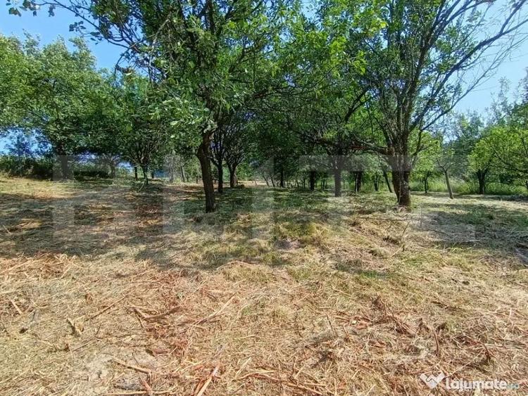 Casa cu 2 camere, 250 mp, zona sud-est - 9