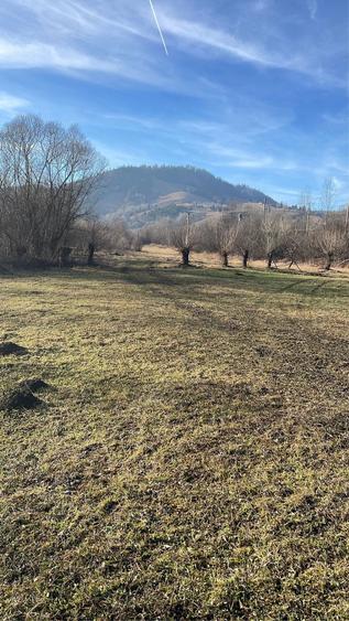 Teren de 2500 mp, în Central