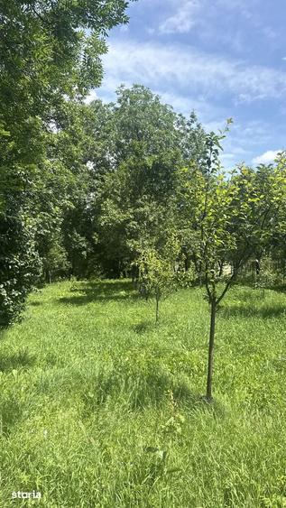 Teren de 2960 mp, în Talea