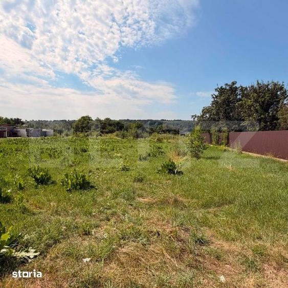 Teren de 3600 mp, în Central