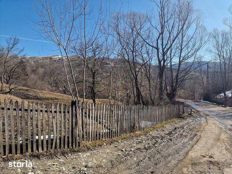 Teren de 4100 mp, în Secăria