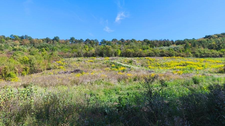 Teren Construcții intravilan de 650 mp, în Corunca