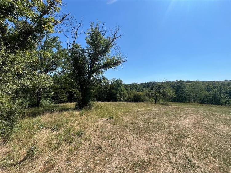 Teren agricol extravilan de 21300 mp, în Lăzăreni