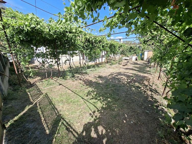 Vand casa in comuna Rogova (25km de Severin) avand suprafa?a de 1140mp
