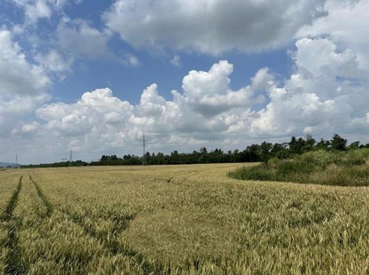 Teren Construcții extravilan de 33000 mp, în Hărman