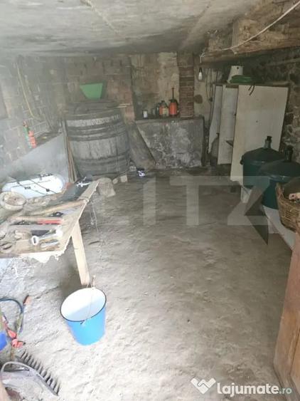 Casă cu 3 camere cu Teren 6300 Mp în Central