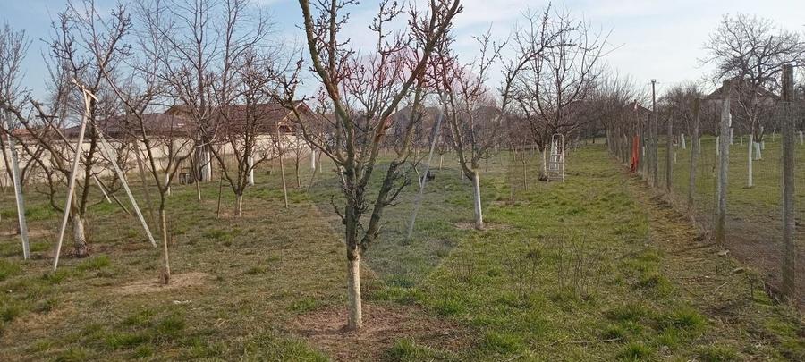 Teren Construcții intravilan de 2954 mp, în Vladimirescu