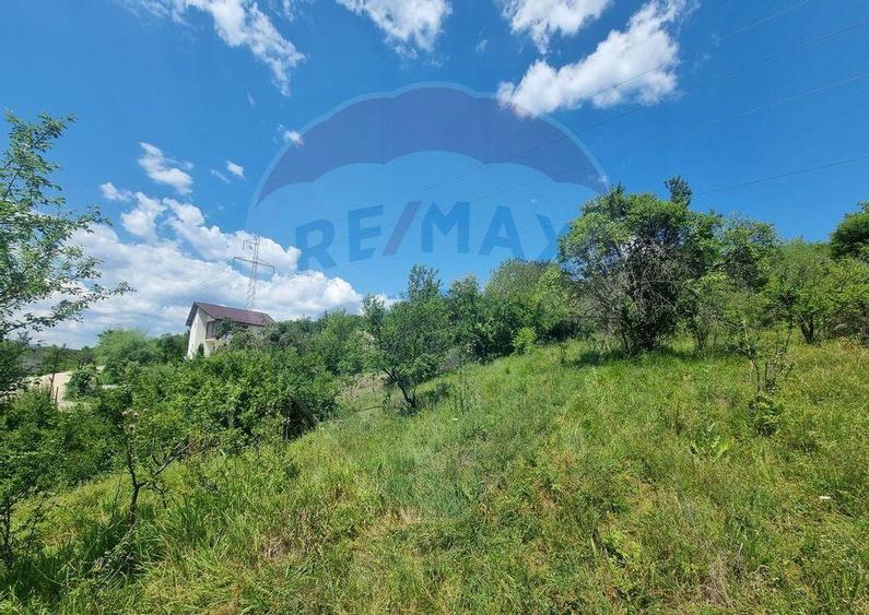 Teren de 11622 mp, în Vălenii de Munte